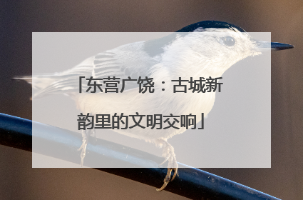 东营广饶：古城新韵里的文明交响
