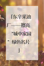 东辛采油厂——擦亮“城中家园”绿色名片