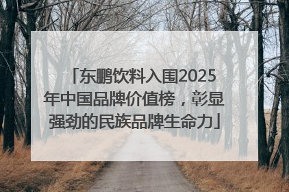 东鹏饮料入围2025年中国品牌价值榜，彰显强劲的民族品牌生命力