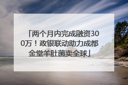 两个月内完成融资300万！政银联动助力成都金堂羊肚菌卖全球