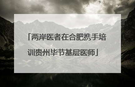 两岸医者在合肥携手培训贵州毕节基层医师