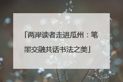 两岸读者走进瓜州：笔墨交融共话书法之美