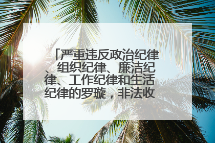 严重违反政治纪律、组织纪律、廉洁纪律、工作纪律和生活纪律的罗璇，非法收受他人巨额财物