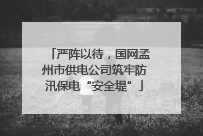 严阵以待，国网孟州市供电公司筑牢防汛保电“安全堤”