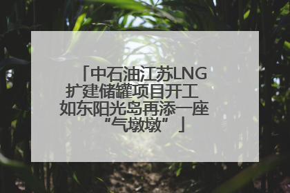 中石油江苏LNG扩建储罐项目开工 如东阳光岛再添一座“气墩墩”