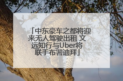 中东豪车之都将迎来无人驾驶出租 文远知行与Uber将联手布署迪拜