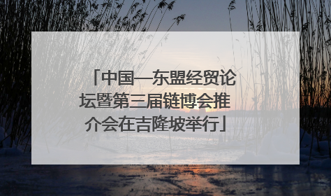 中国—东盟经贸论坛暨第三届链博会推介会在吉隆坡举行