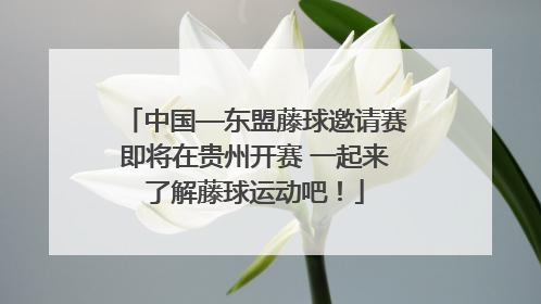 中国—东盟藤球邀请赛即将在贵州开赛 一起来了解藤球运动吧！