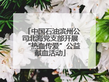 中国石油滨州公司北海党支部开展“热血传爱”公益献血活动