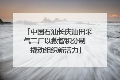 中国石油长庆油田采气二厂以数智积分制 撬动组织新活力