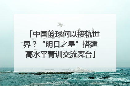 中国篮球何以接轨世界？“明日之星”搭建高水平青训交流舞台