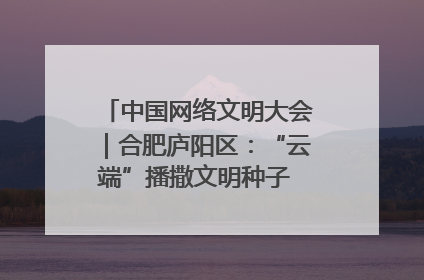 中国网络文明大会｜合肥庐阳区：“云端”播撒文明种子 共建清朗网络空间