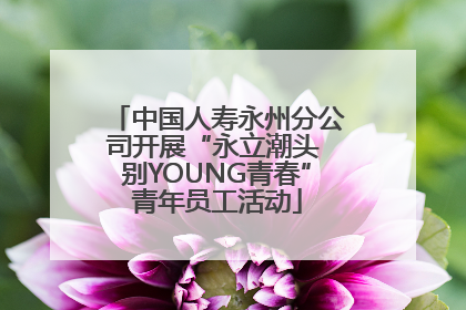 中国人寿永州分公司开展“永立潮头 别YOUNG青春”青年员工活动