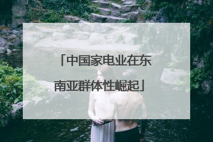 中国家电业在东南亚群体性崛起