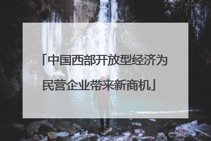 中国西部开放型经济为民营企业带来新商机