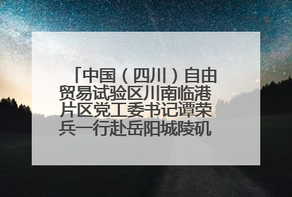 中国（四川）自由贸易试验区川南临港片区党工委书记谭荣兵一行赴岳阳城陵矶综保区考察