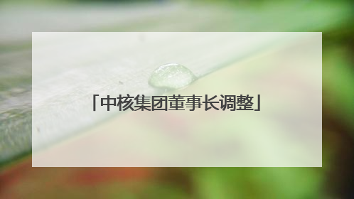 中核集团董事长调整
