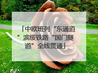 中欧班列“东通道”滨绥铁路“国门隧道”全线贯通