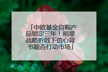 中欧基金自购产品锁定三年！明星战略折戟下信心背书能否打动市场