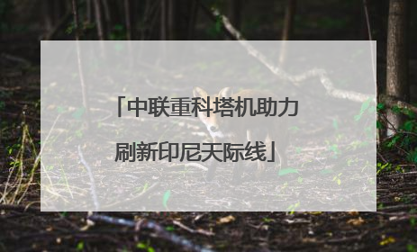 中联重科塔机助力刷新印尼天际线
