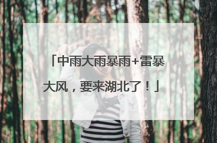 中雨大雨暴雨+雷暴大风，要来湖北了！
