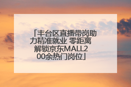 丰台区直播带岗助力精准就业 零距离解锁京东MALL200余热门岗位