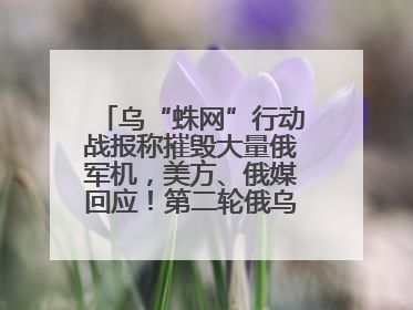 乌“蛛网”行动战报称摧毁大量俄军机，美方、俄媒回应！第二轮俄乌谈判在即，乌克兰提出三大诉求