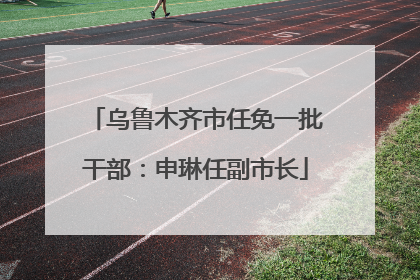 乌鲁木齐市任免一批干部：申琳任副市长