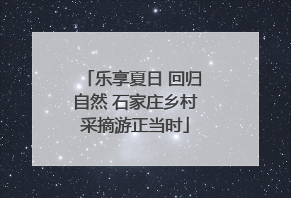 乐享夏日 回归自然 石家庄乡村采摘游正当时