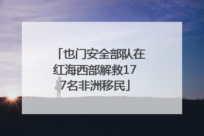 也门安全部队在红海西部解救177名非洲移民