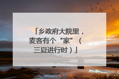 乡政府大院里，麦客有个“家”（三夏进行时）