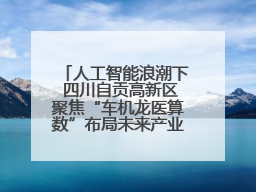 人工智能浪潮下 四川自贡高新区聚焦“车机龙医算数”布局未来产业丨美好生活有“盐”味