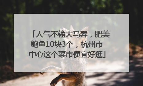 人气不输大马弄，肥美鲍鱼10块3个，杭州市中心这个菜市便宜好逛