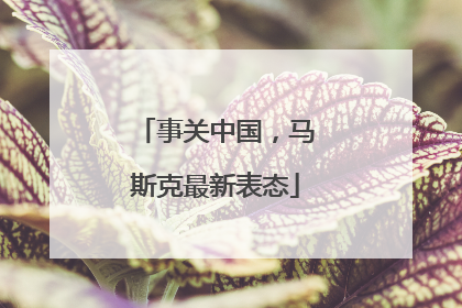 事关中国，马斯克最新表态