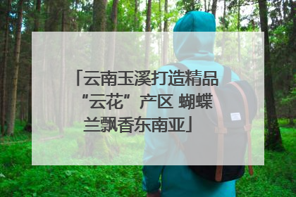 云南玉溪打造精品“云花”产区 蝴蝶兰飘香东南亚