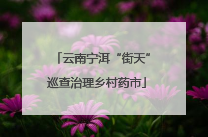 云南宁洱“街天”巡查治理乡村药市