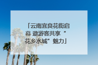 云南宜良花街启幕 邀游客共享“花乡水城”魅力