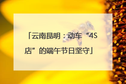 云南昆明：动车“4S店”的端午节日坚守