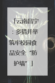 云南昌宁：多措并举筑牢校园食品安全“防护墙”