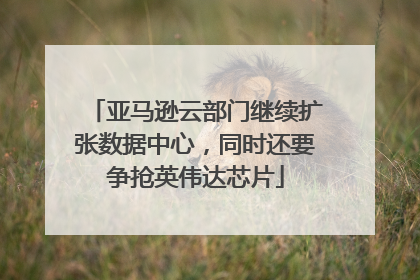 亚马逊云部门继续扩张数据中心，同时还要争抢英伟达芯片