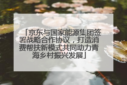 京东与国家能源集团签署战略合作协议，打造消费帮扶新模式共同助力青海乡村振兴发展