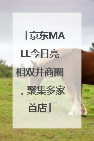 京东MALL今日亮相双井商圈，聚集多家首店