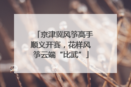京津冀风筝高手顺义开赛，花样风筝云端“比武”