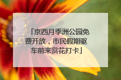 京西月季洲公园免费开放，市民假期驱车前来赏花打卡
