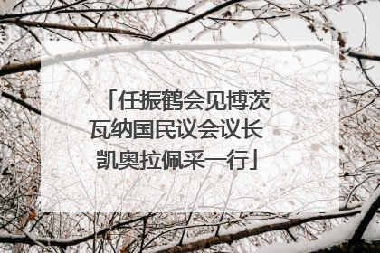 任振鹤会见博茨瓦纳国民议会议长凯奥拉佩采一行