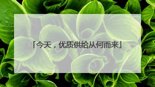 今天，优质供给从何而来