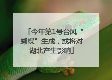 今年第1号台风“蝴蝶”生成，或将对湖北产生影响