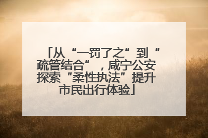 从“一罚了之”到“疏管结合”，咸宁公安探索“柔性执法”提升市民出行体验