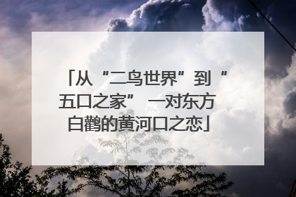 从“二鸟世界”到“五口之家” 一对东方白鹳的黄河口之恋