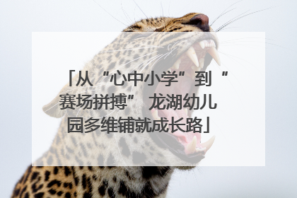 从“心中小学”到“赛场拼搏” 龙湖幼儿园多维铺就成长路